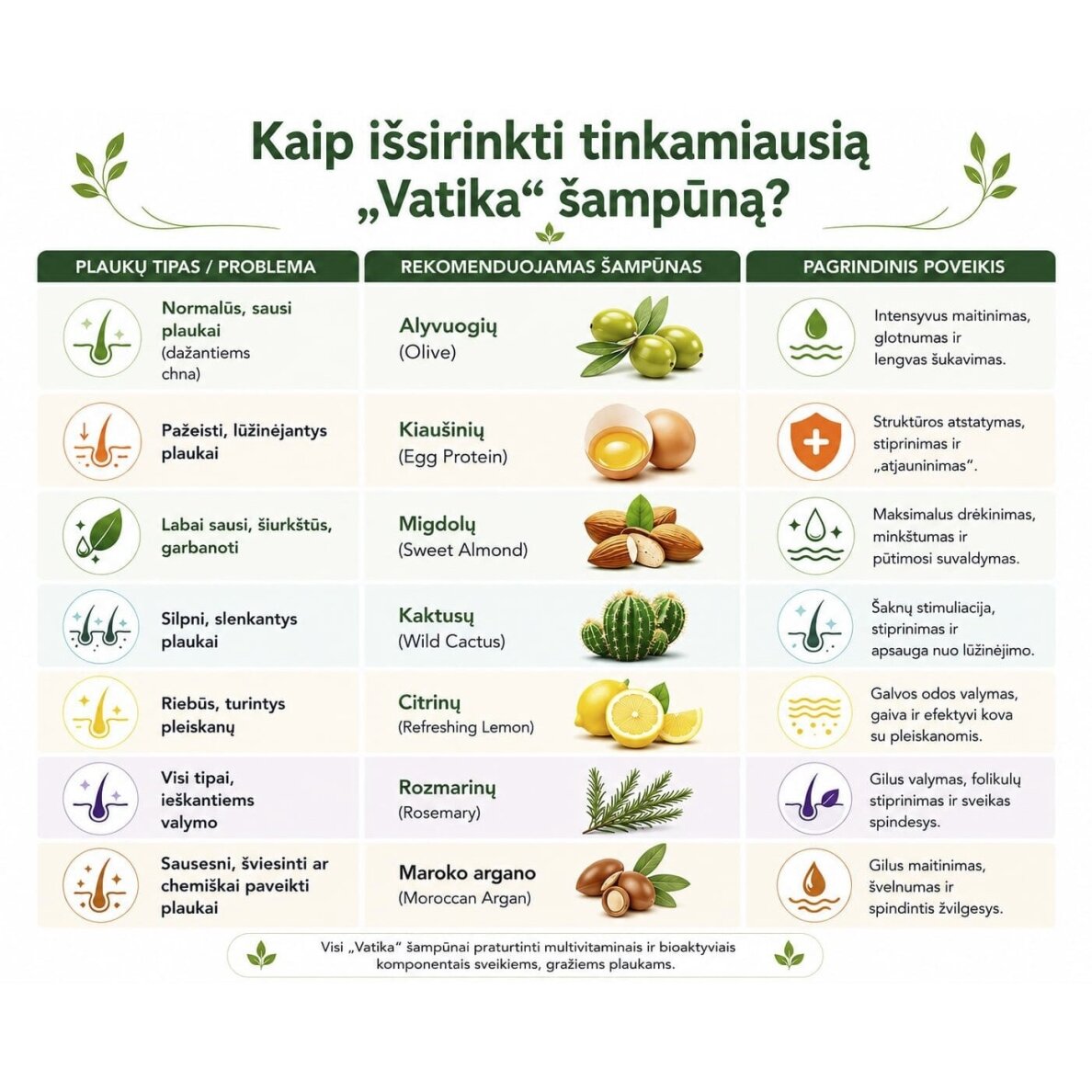 Plaukų šampūnas Vatika Egg-Protein, 400 ml 1 Plaukų šampūnas Vatika Egg-Protein, 400 ml 1