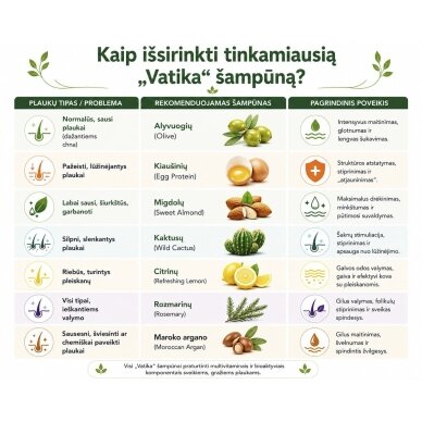 Plaukų šampūnas Vatika Virgin Olive, 400 ml 1