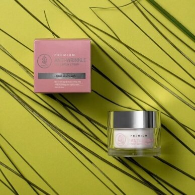 Premium veido kremas su kolagenu MedB, 50ml 1